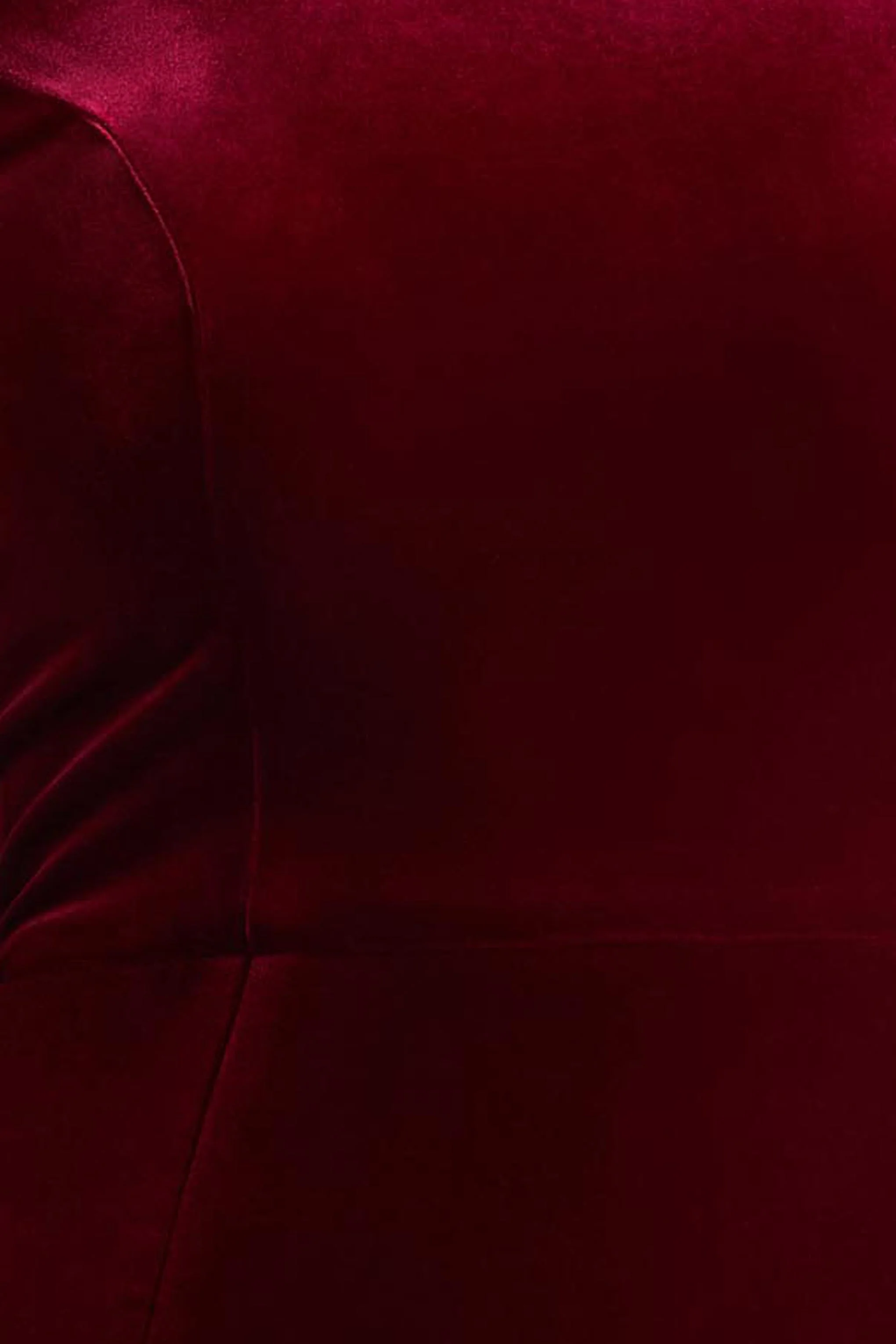 Margot | Burgundy High-Neck Velvet Mini Dress With Embellished Detail - Image 7